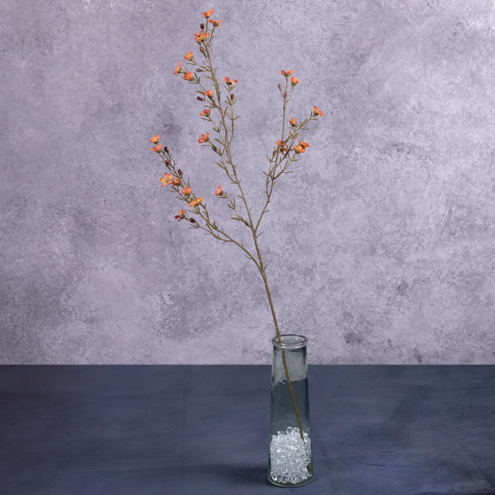 Waxflower, Hot Orange, 78cm