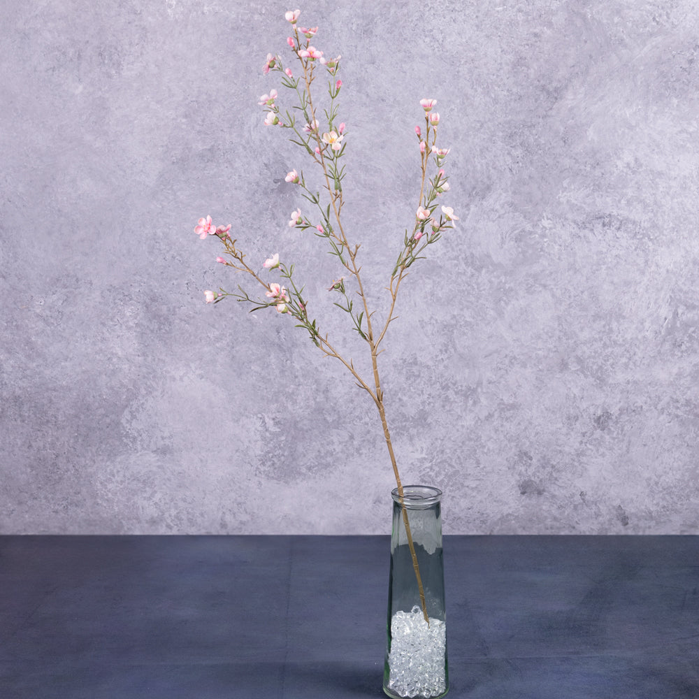 waxflower Chamelaucium pink 78cm