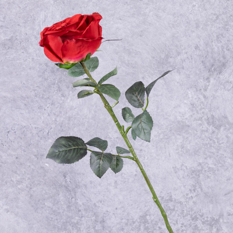 Rose Nova, Red, 75cm, Faux