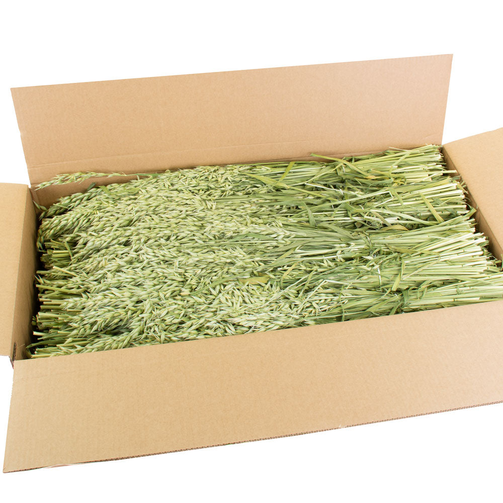 a full box of 25 bunches of natural green oats