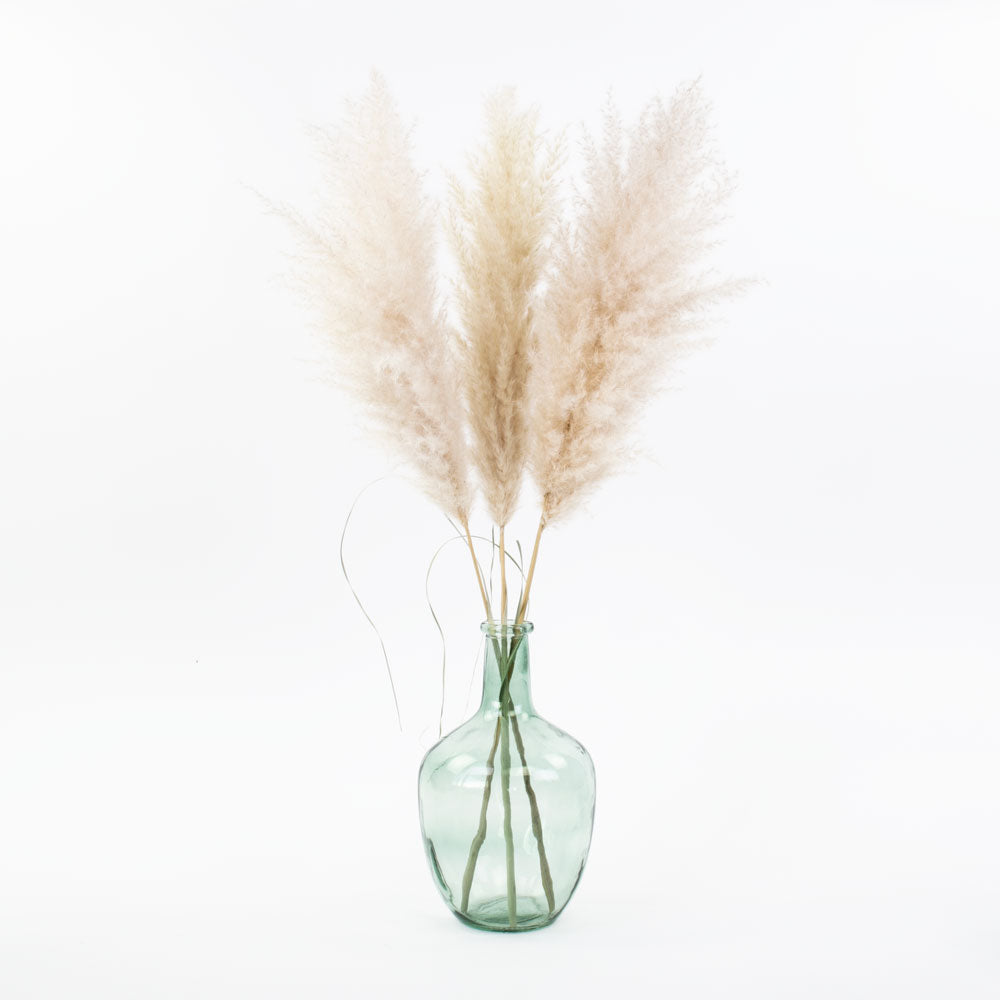 a light green glass bottle vase containing 3 fluffy pampas stems