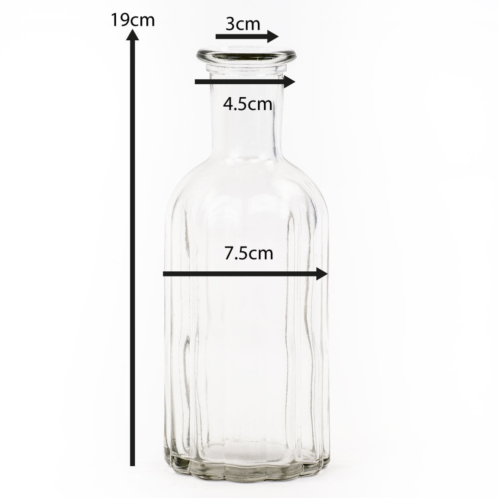 a single clear glass vase