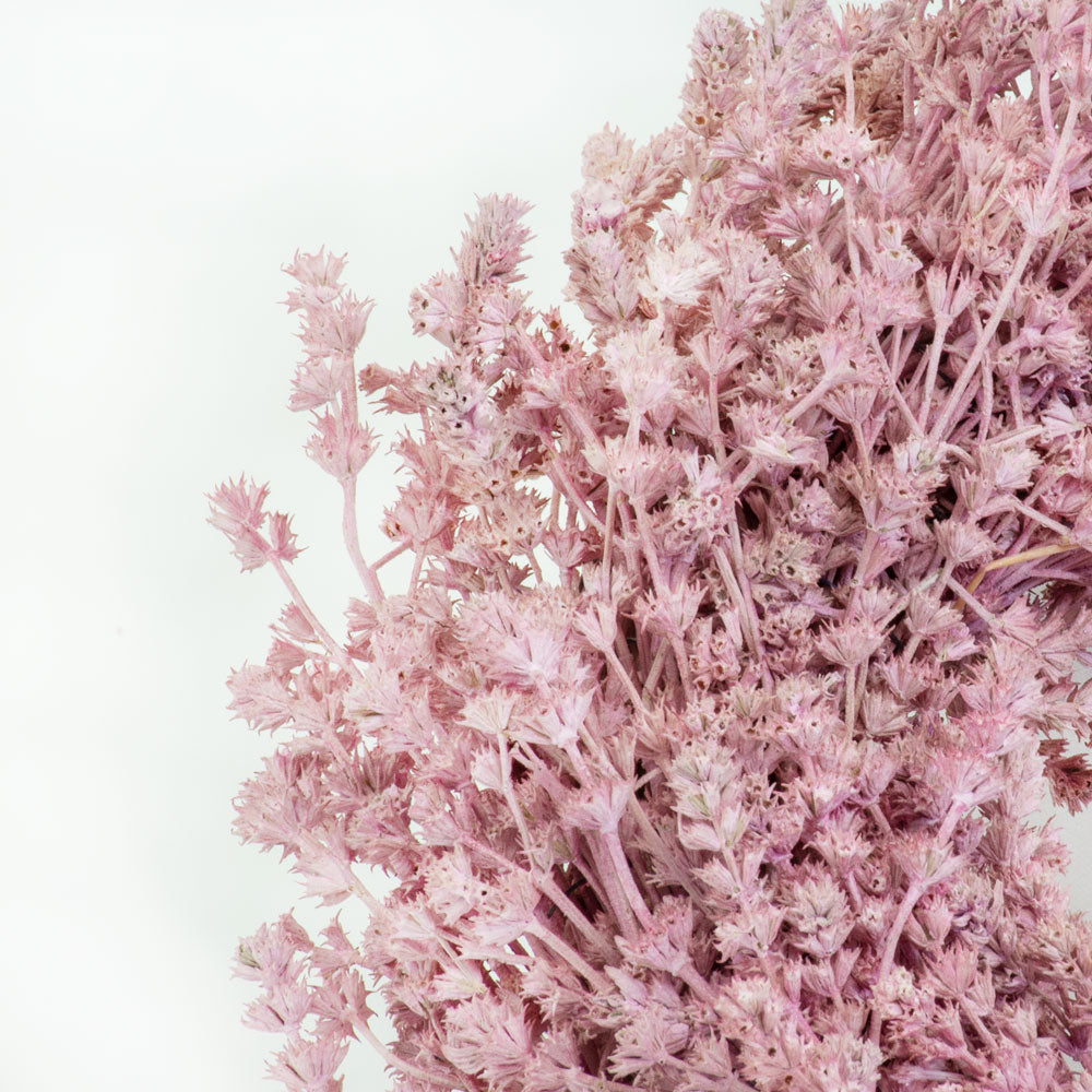 a wreath made of linen herb and painted a chalky pink colour, against a white background