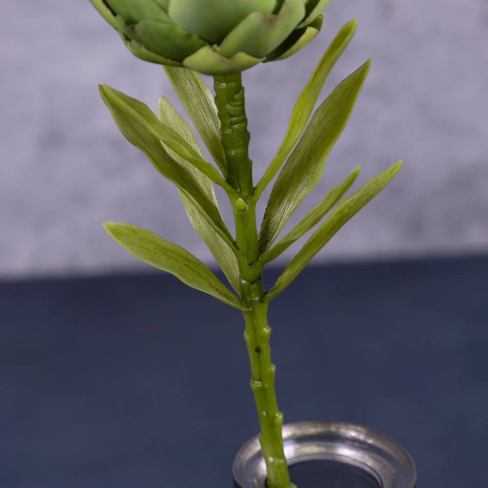 Artichoke (cynara) Green 37cm
