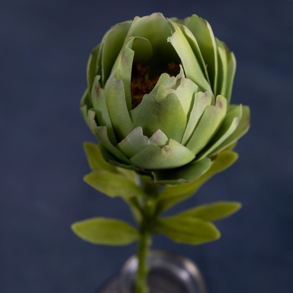 Artichoke (cynara) Green 37cm