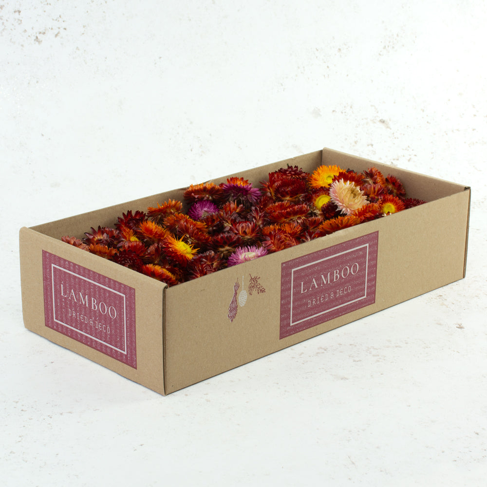 Helichrysum Heads, Natural Red, per 100g