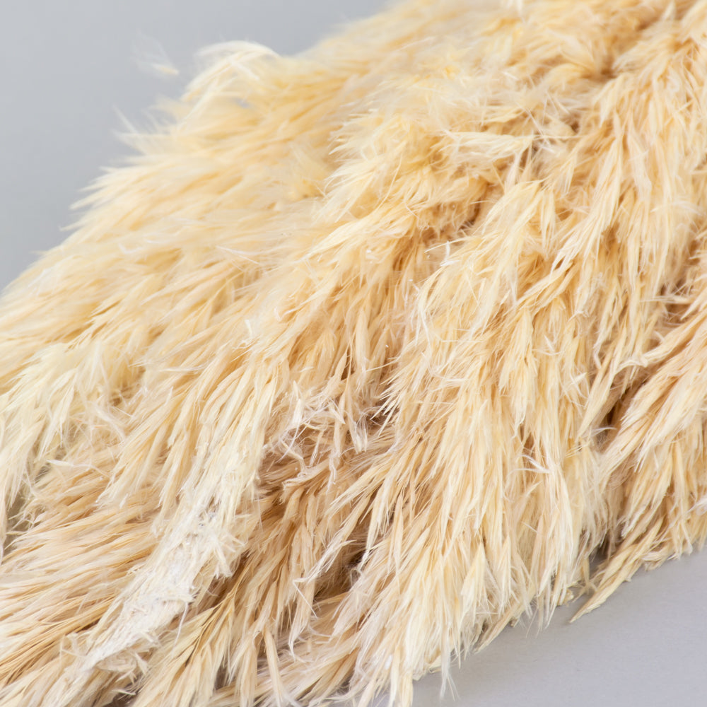 Reed Plume, Wild, Bleached White