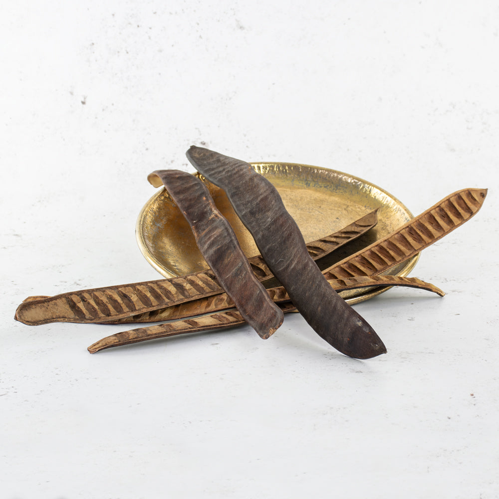 Leiterschote, natural, 35-50cm, bag x 5 pcs