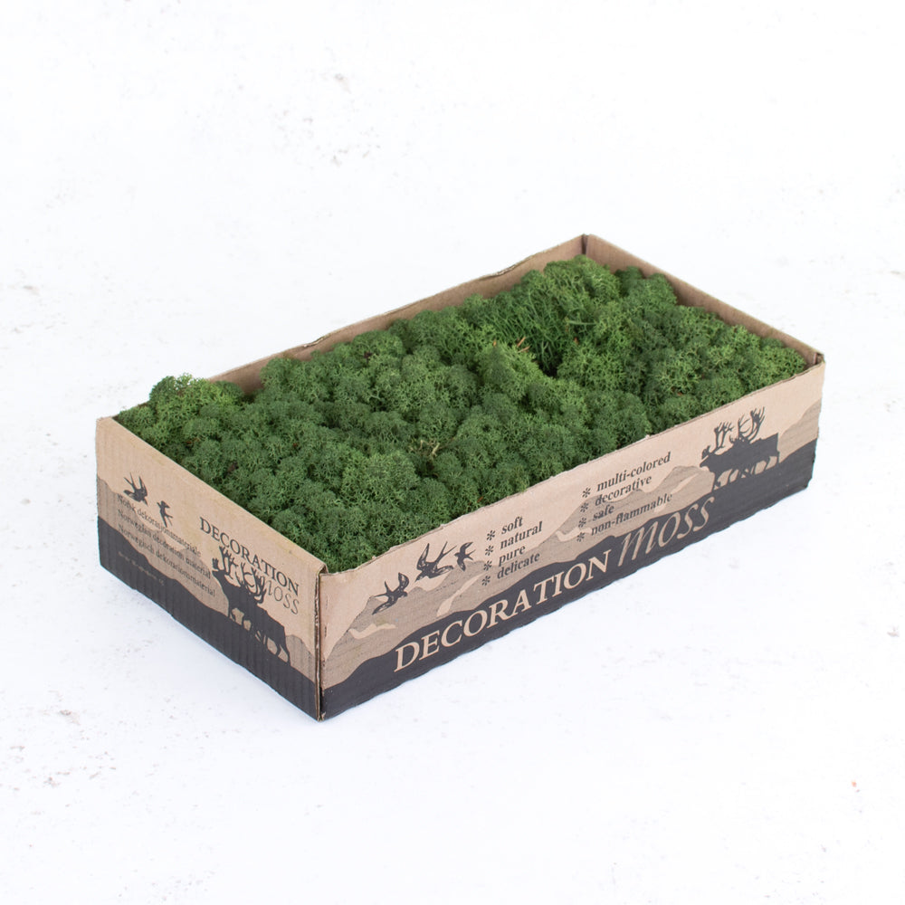Icelandic Moss, Moss Green, 500g