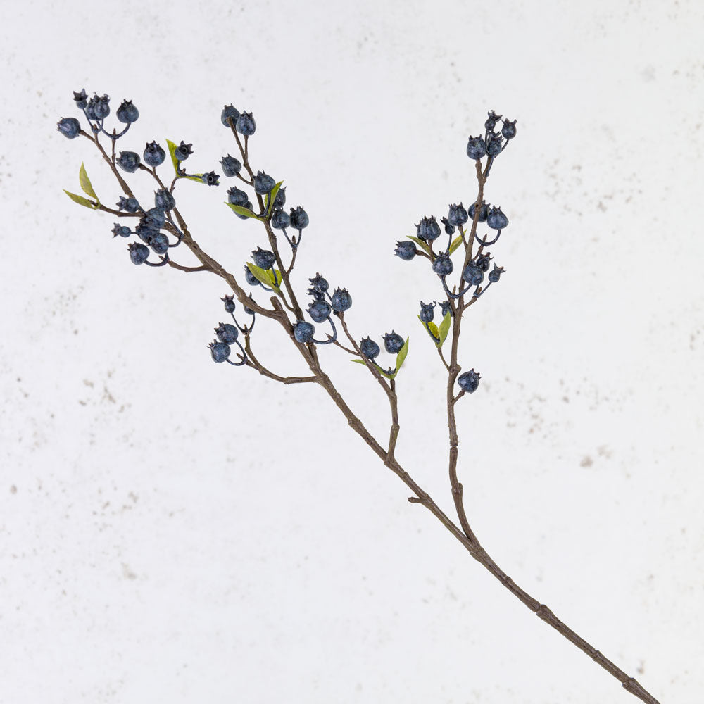 Blueberry Stem, 60cm