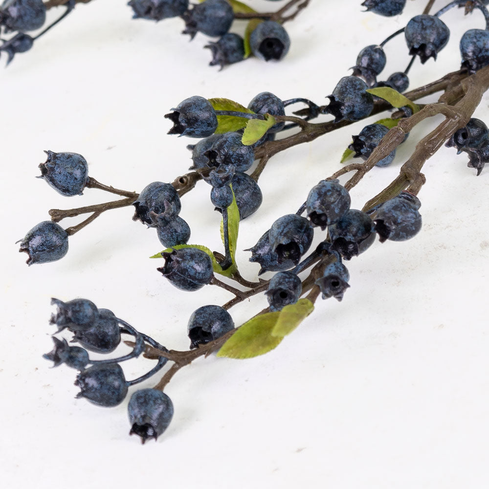 Blueberry Stem, 60cm
