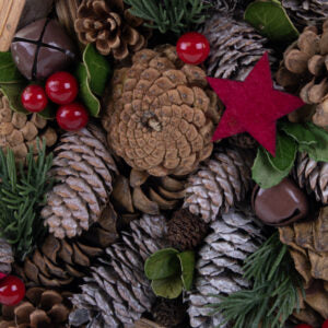 Christmas pinecones and berries