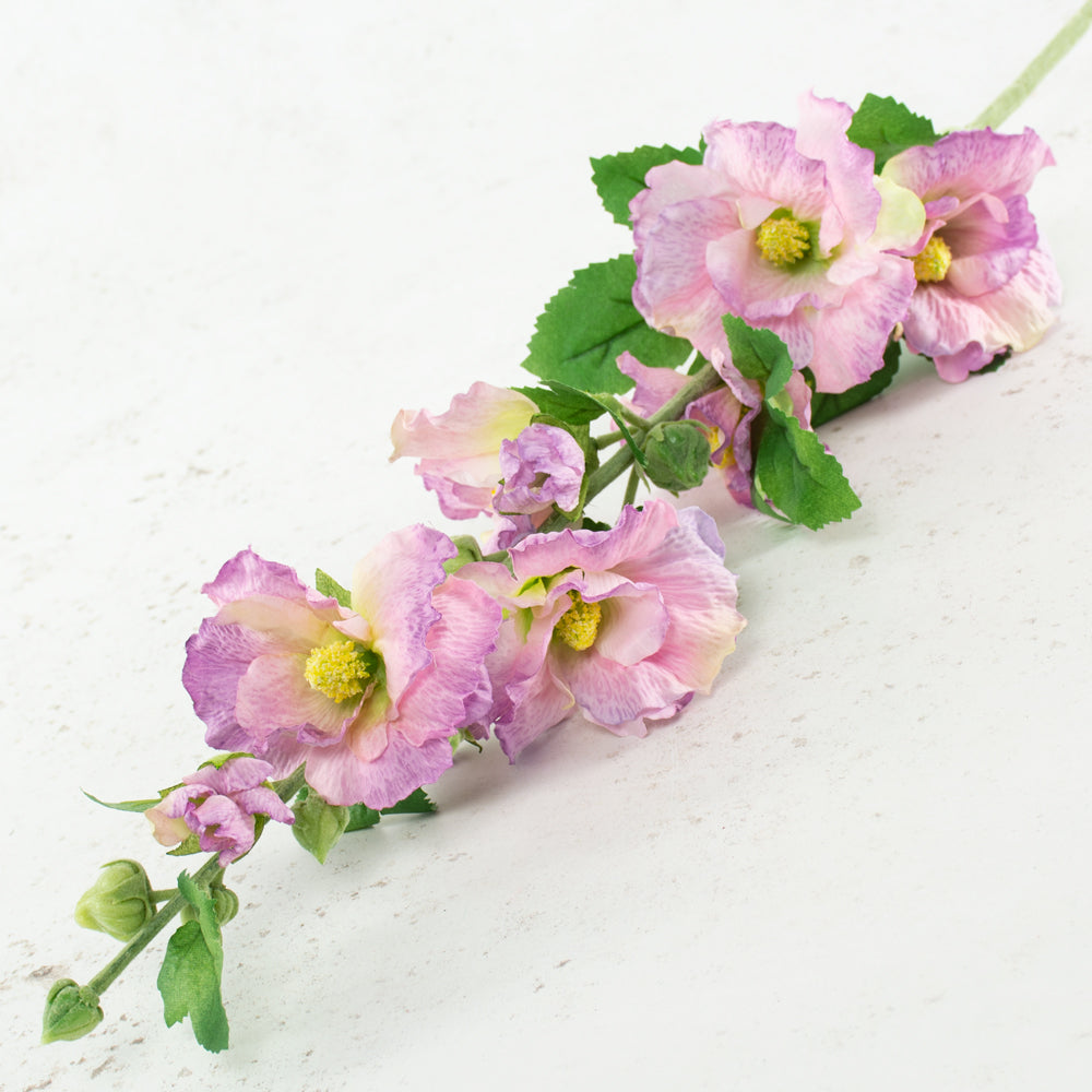 Hollyhock, Spring Dream, Lilac, 87cm