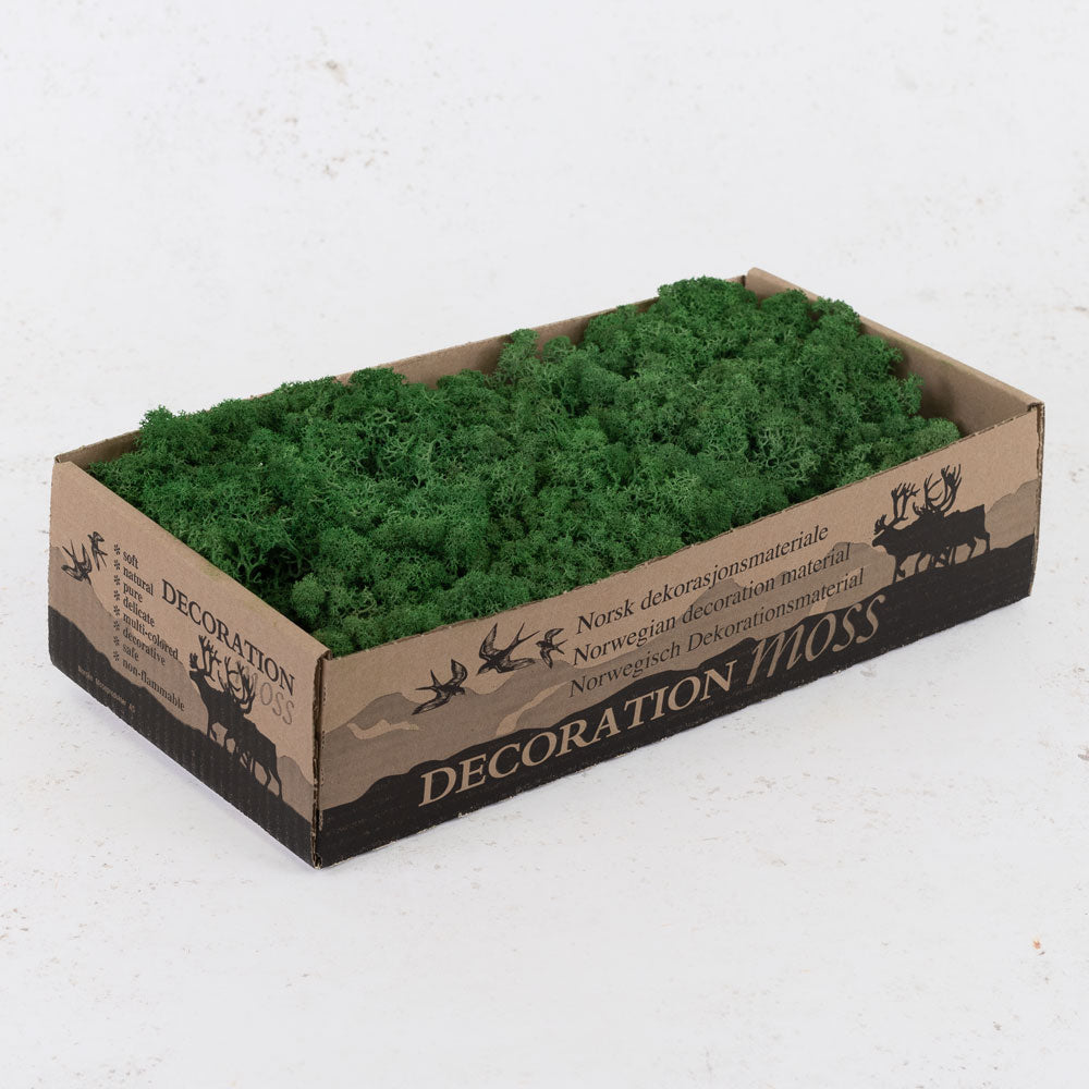 Icelandic Moss, Grass Green, 500g