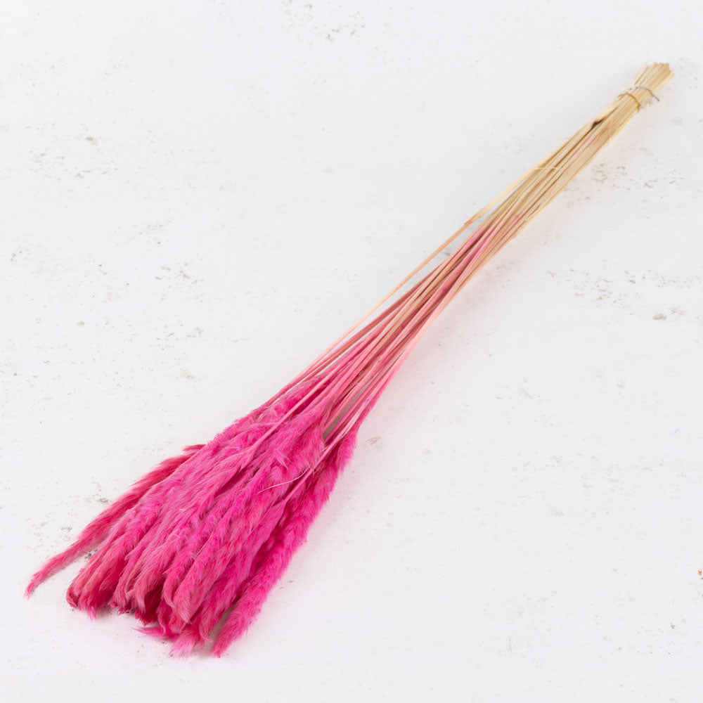 Fluffy Pampas, Pink, 50-70g