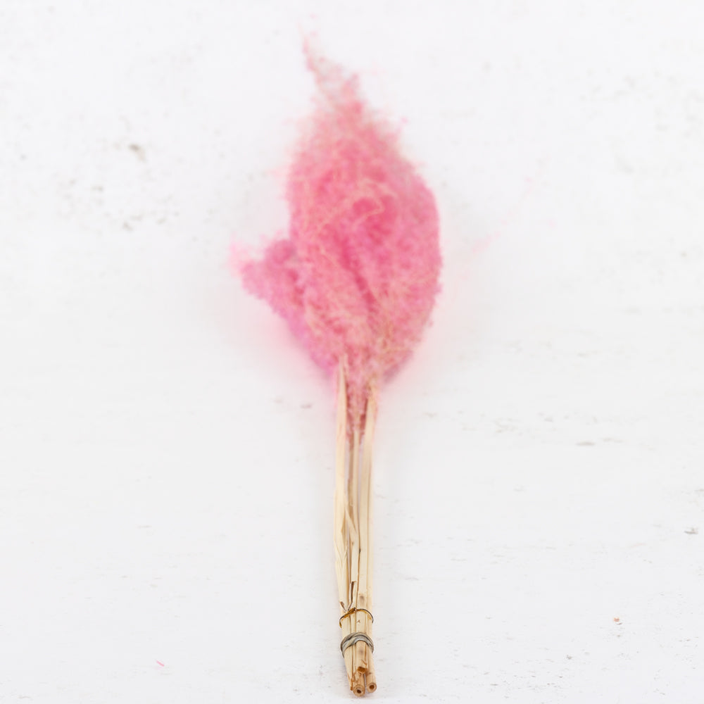 Fluffy Grass, Pink, Bunch x 10