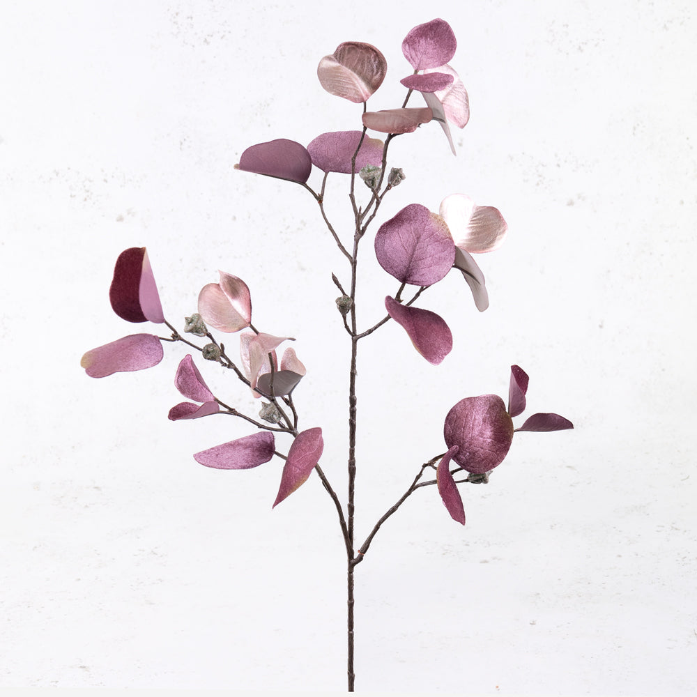 Eucalyptus 'Glamour', Mauve, 83cm