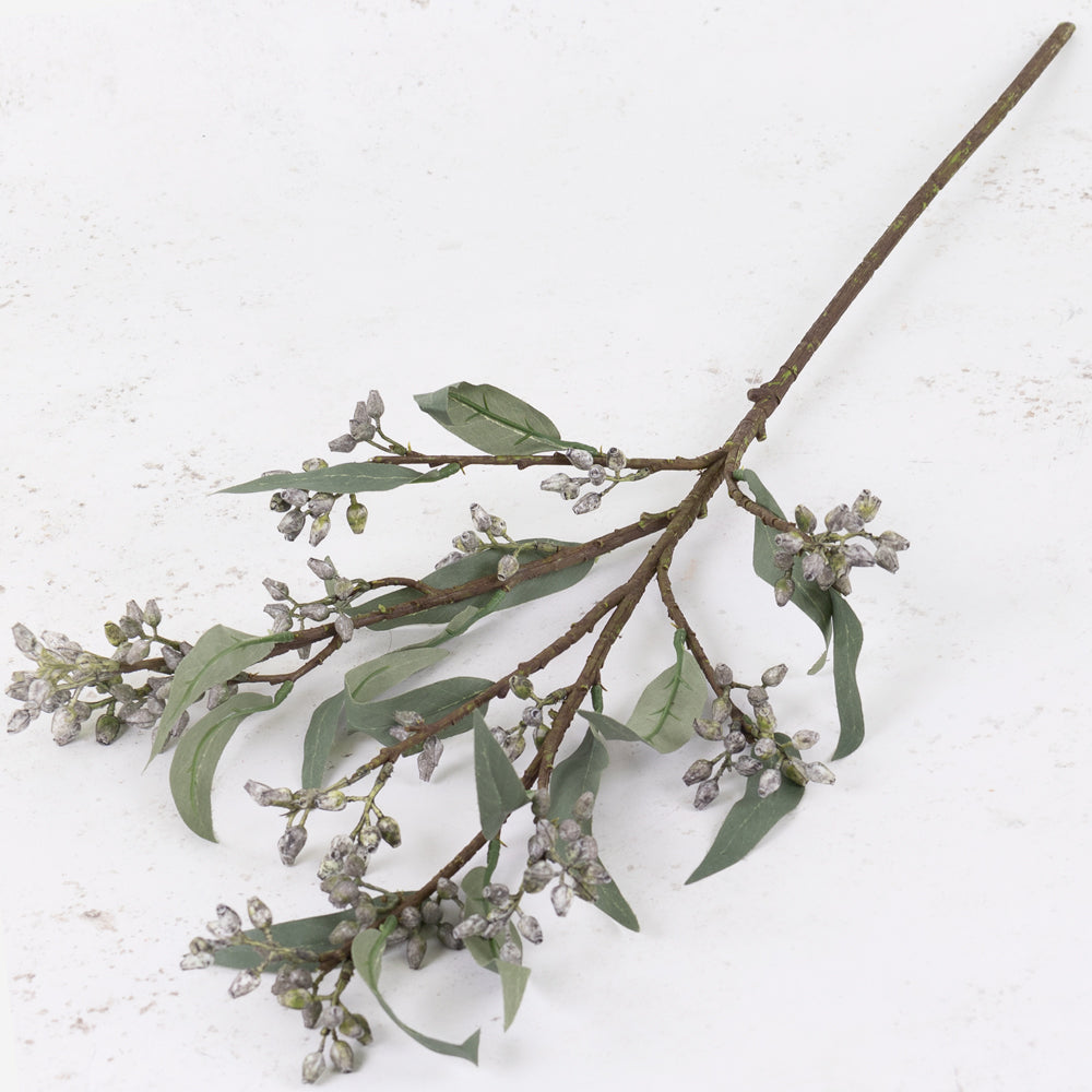 Eucalyptus 'Glamour', Mauve, 83cm