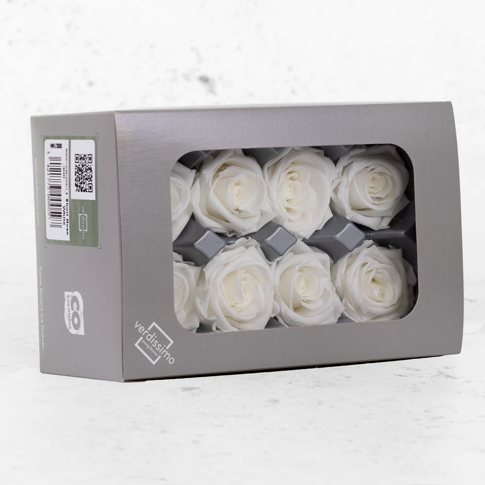 Rose Heads Preserved, Medium, White, Box 8
