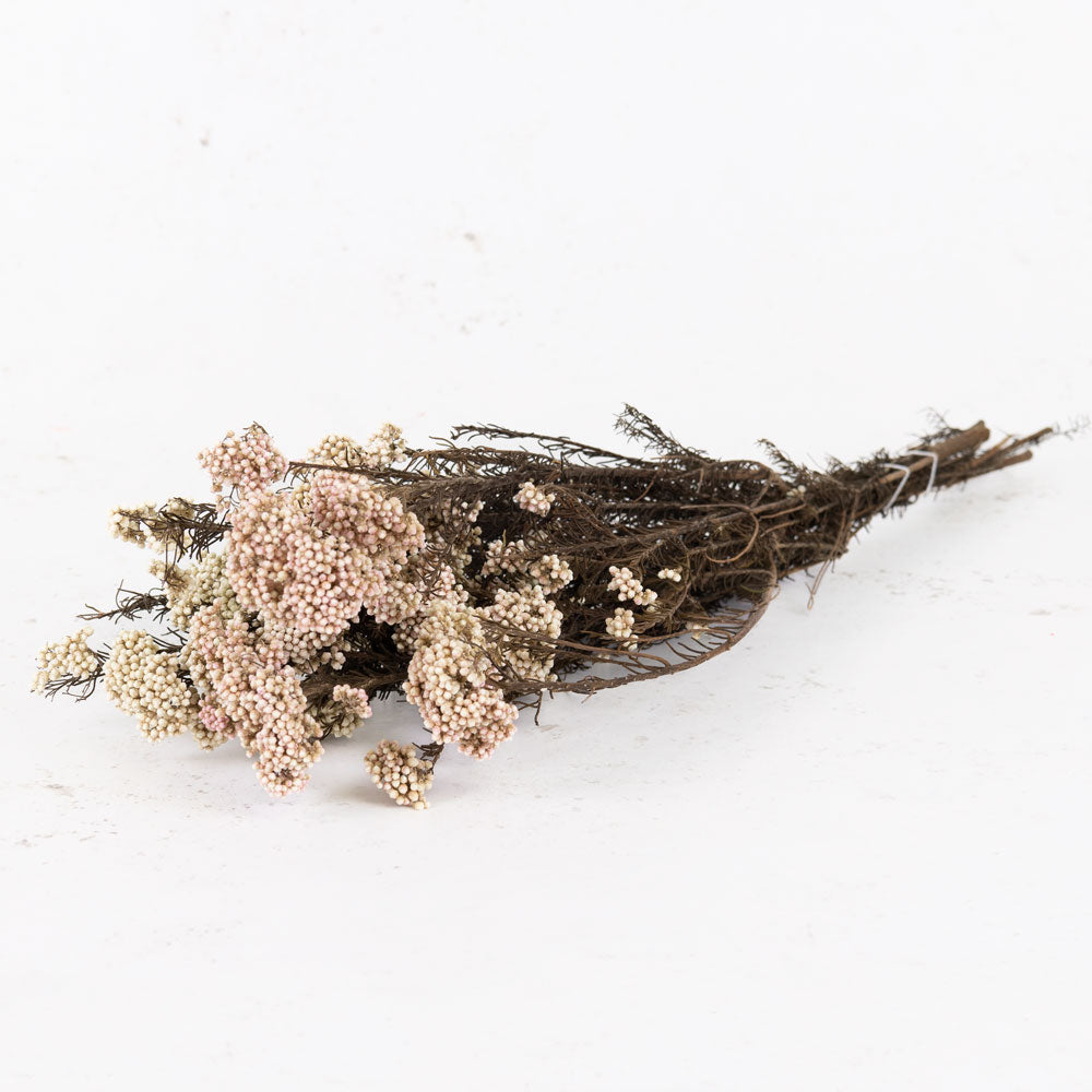 Diosmi (Rice Flower), Preserved, Natural, 120g