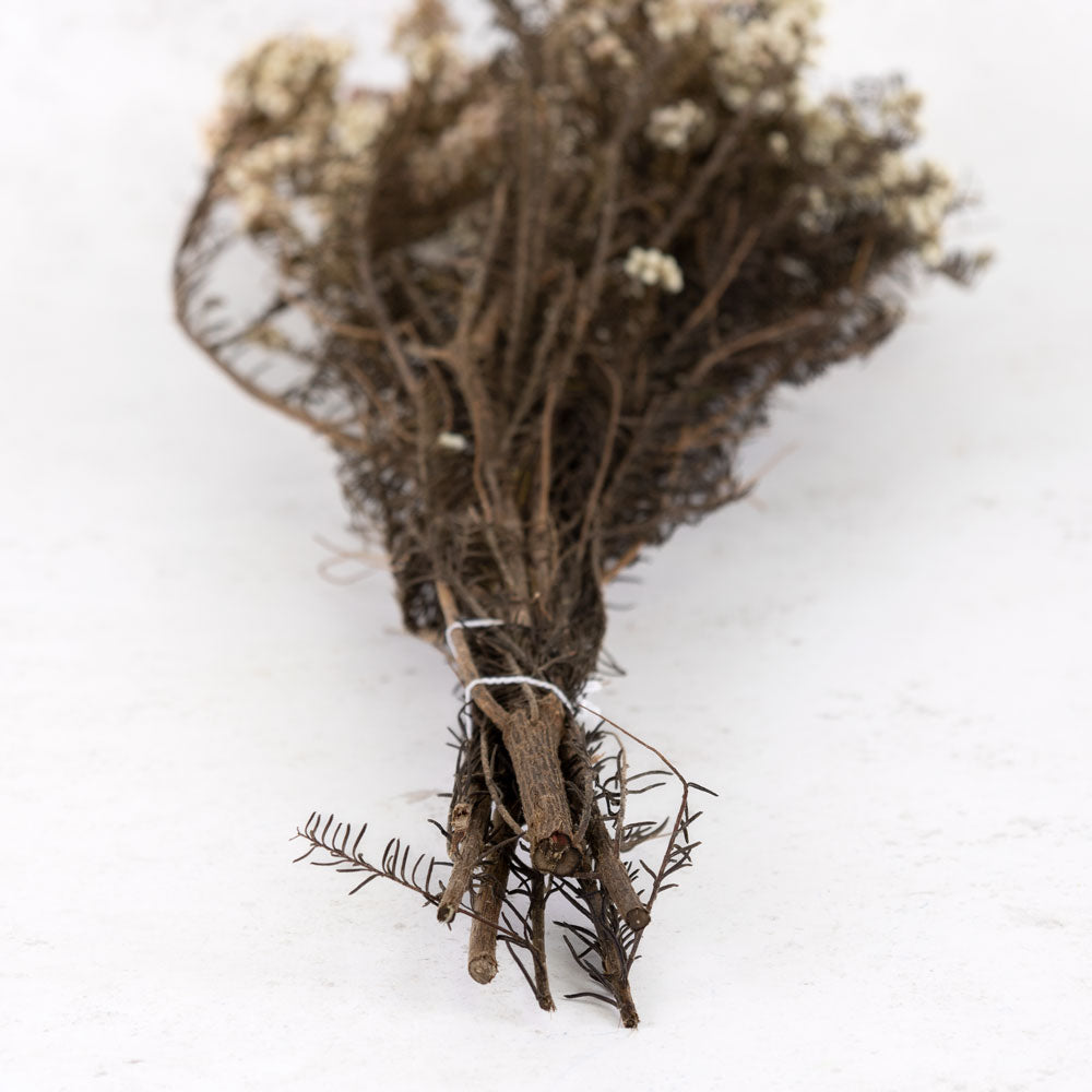 Diosmi (Rice Flower), Preserved, Natural, 120g