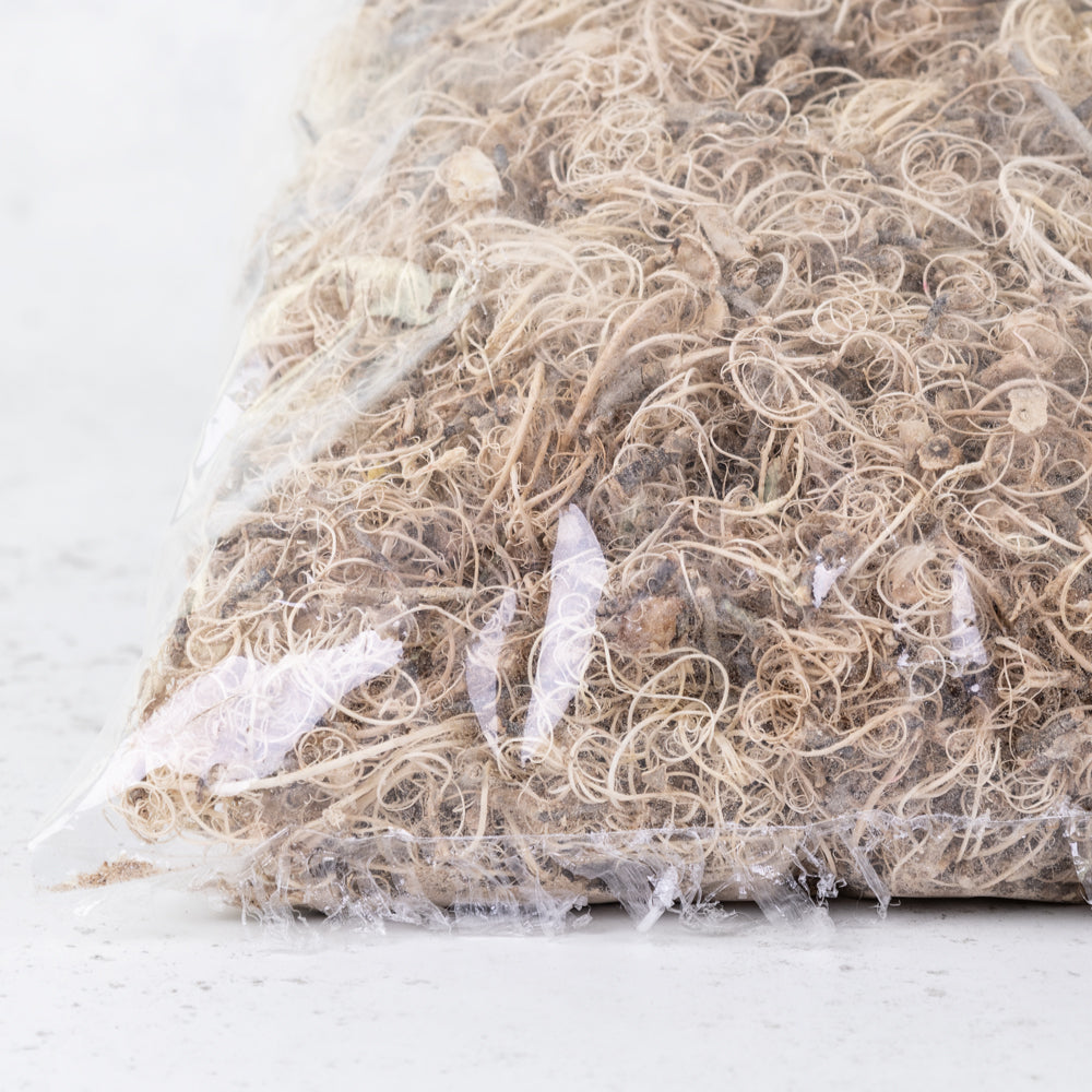 Curly Moss,  Bleached White, 500g bag