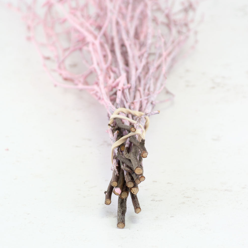 Birch, Pink Misty, 10pc Bunch, 60cm