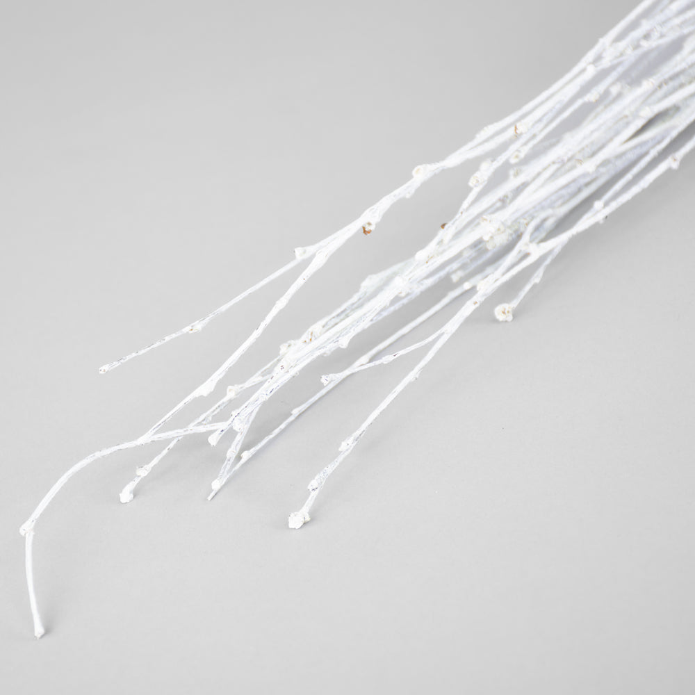 Birch, White Misty, 10pc Bunch, 60cm