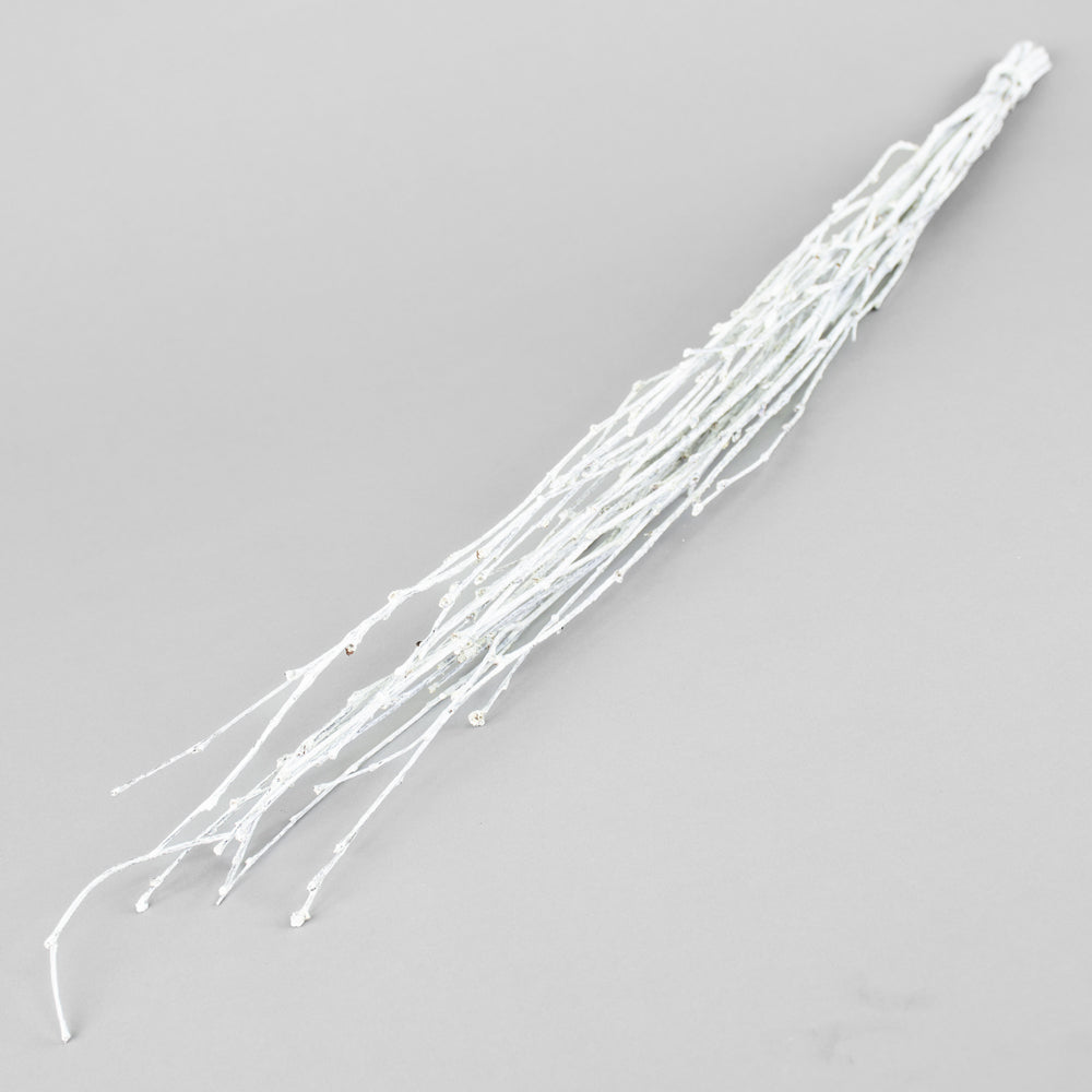 Birch, White Misty, 10pc Bunch, 60cm
