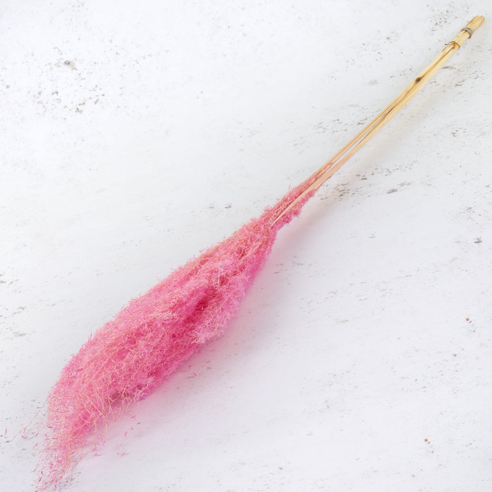 Fluffy Grass, Light Pink, 100cm, Bunch x 5