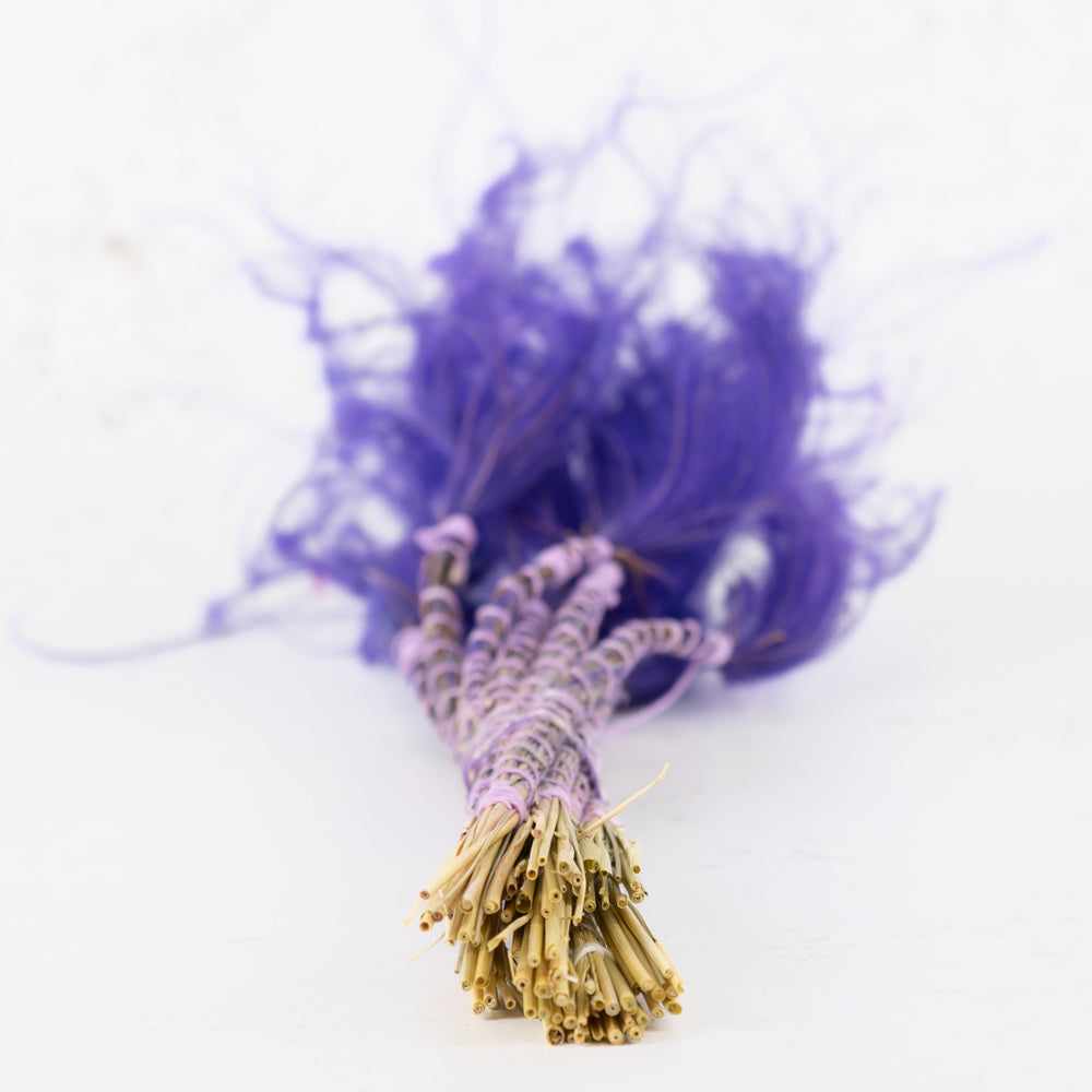 Stipa pennata, Violet