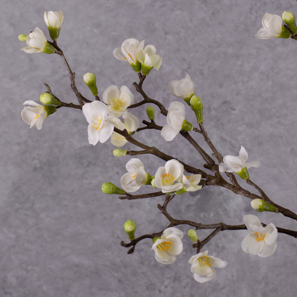 Faux Blossom Branch - Quinn, Cream, 70cm