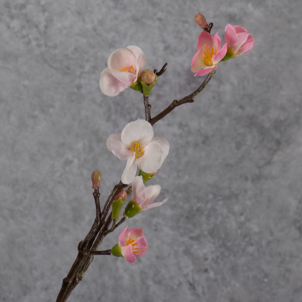 Blossom Branch - Quinn, Light Pink, 70cm