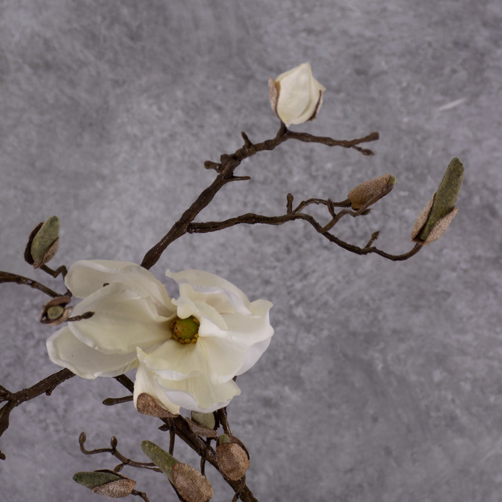 Blossom - Magnolia Branch, Cream, 107cm
