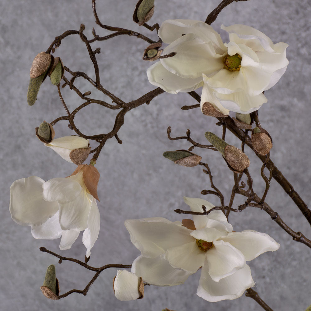 Blossom - Magnolia Branch, Cream, 107cm