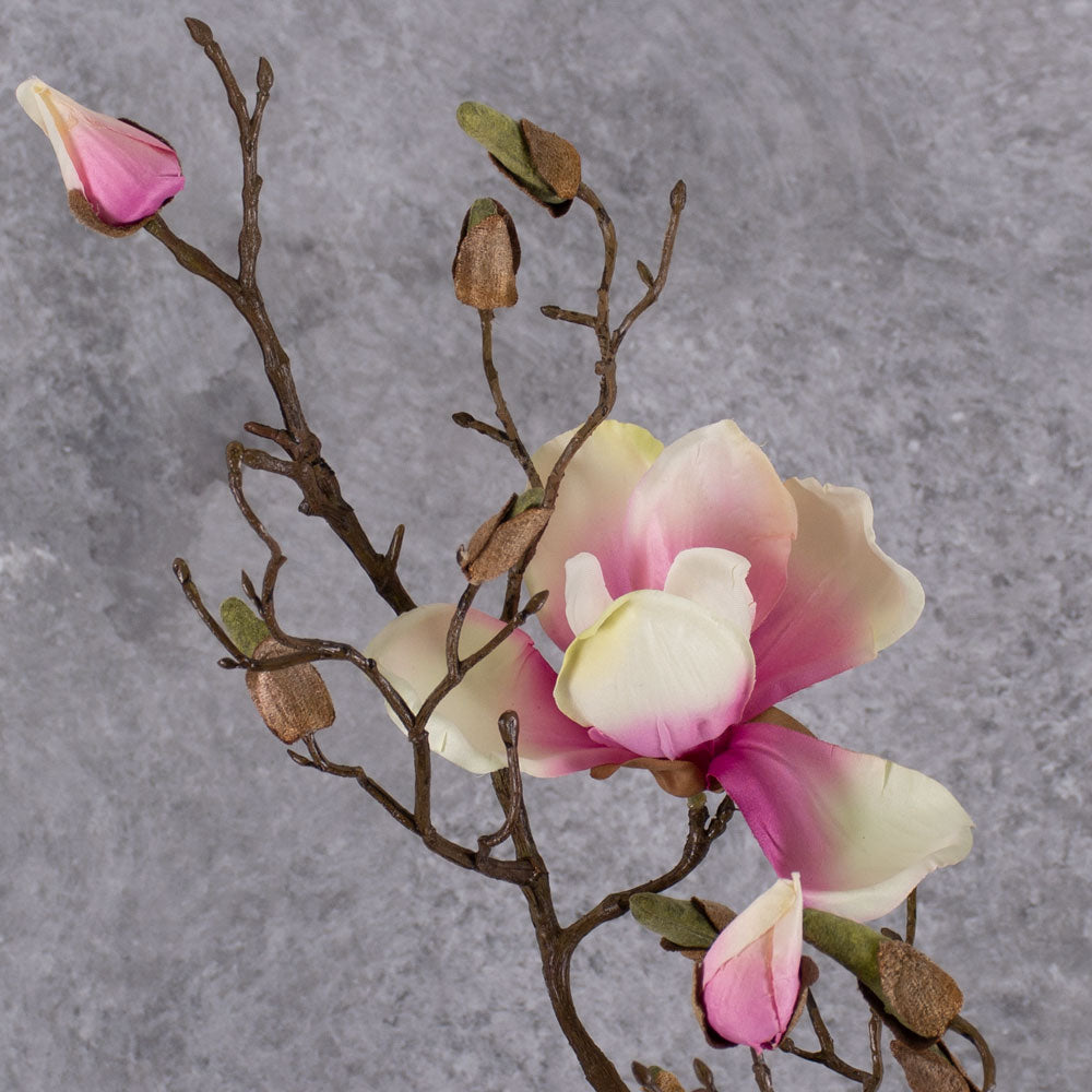 Blossom - Magnolia Branch, Pink / White, 107cm