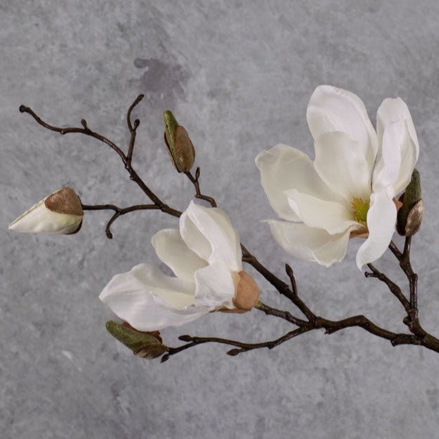 Blossom - Magnolia Stem, Cream, 48cm