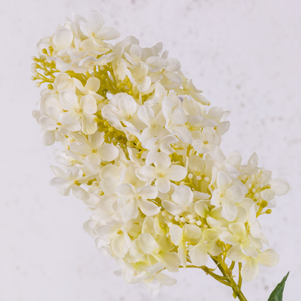 Hydrangea paniculata, Cream, 81cm, Faux