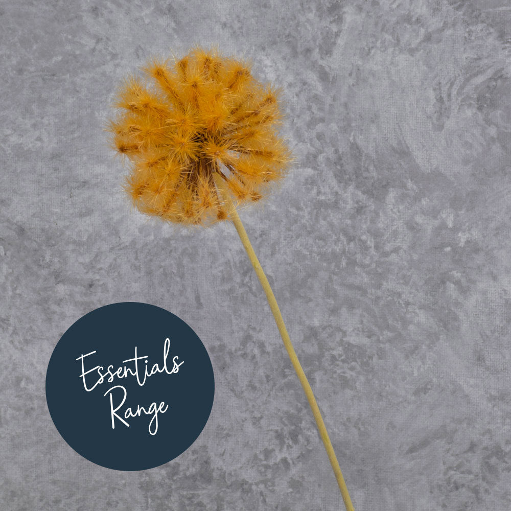 Dandelion Clock, Orange, 50cm