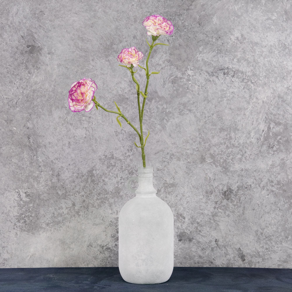 Carnation, Cream/Purple Edge, 60cm