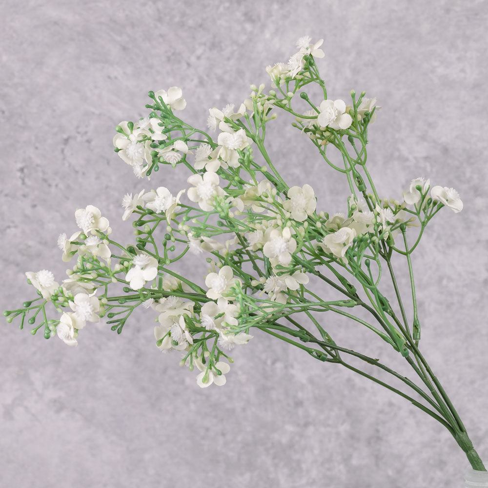 Gypsophila Sprig, White, 36cm