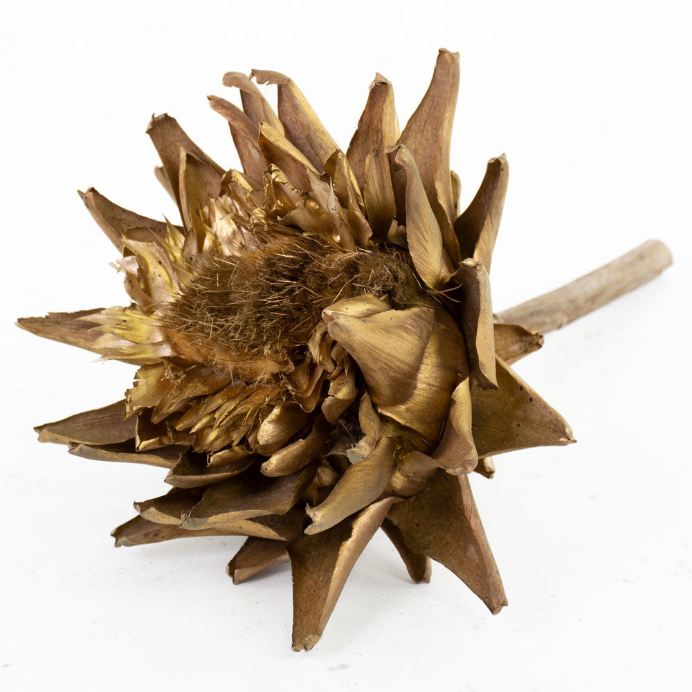 Trio of metallic cynara stems - red, gold and bronze