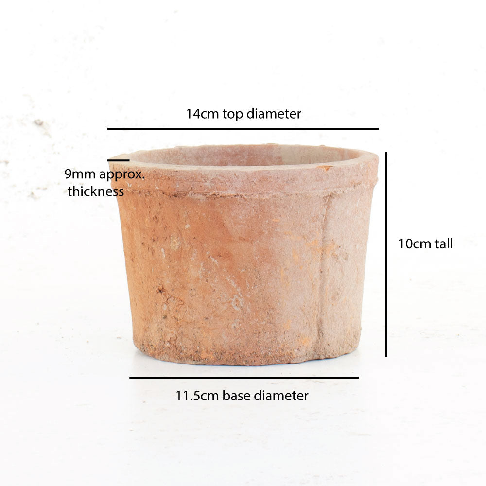 Flowerpot - Fenland Mossed, 14cm