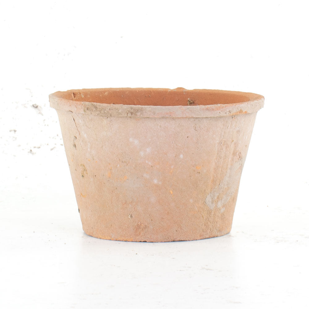 Flowerpot - Fenland Mossed, 19cm