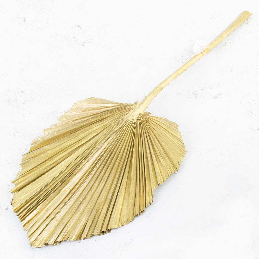 King Spear, Gold, Per Stem