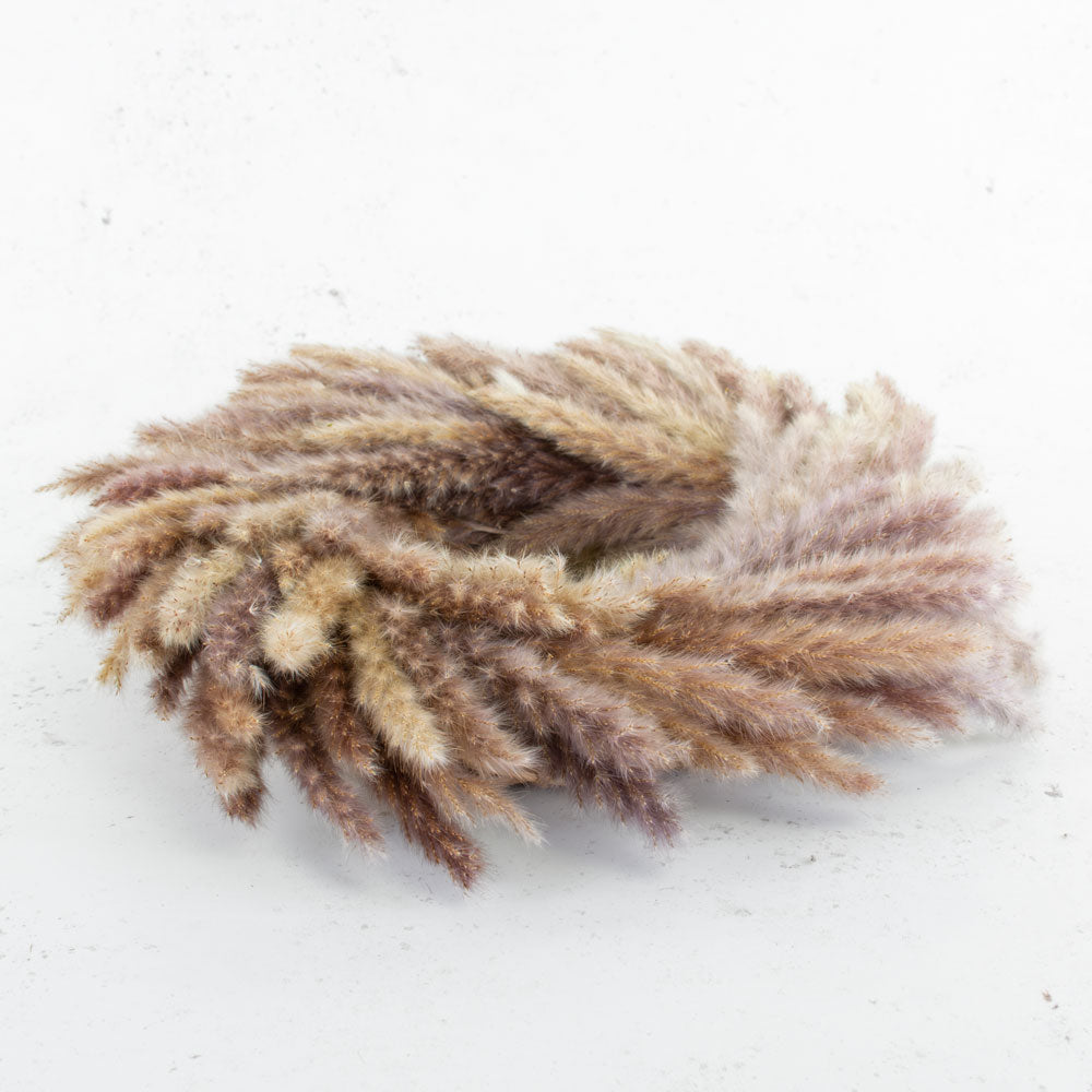 Pampas Grass Wreath, Natural, 45cm Diameter