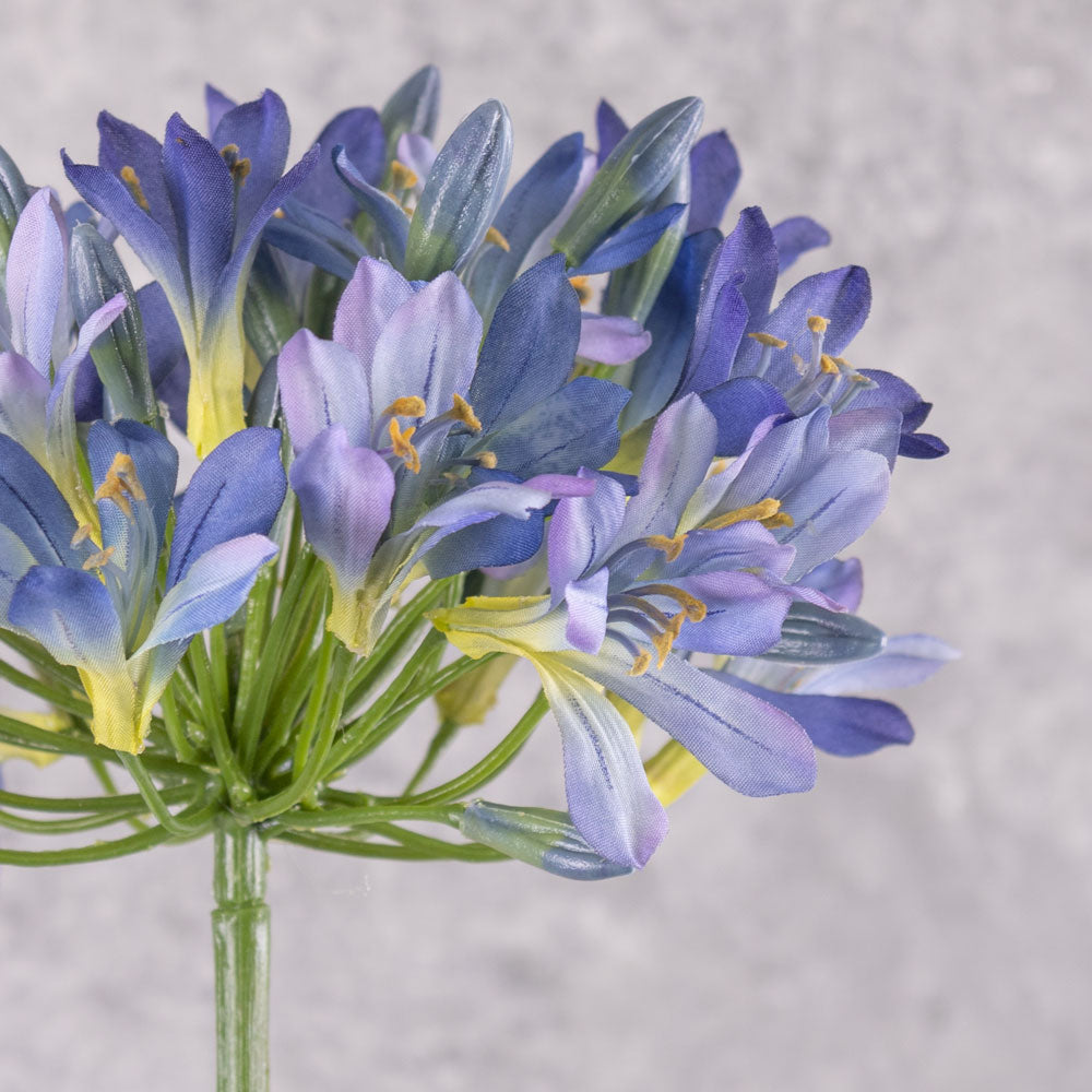 Agapanthus Stem, Blue, 88cm