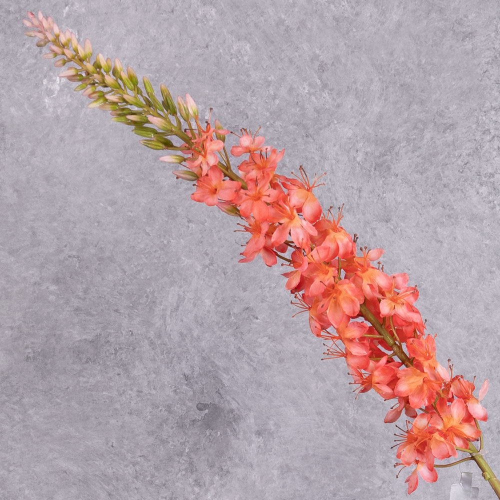 A faux foxtail lily with warm salmon flowers