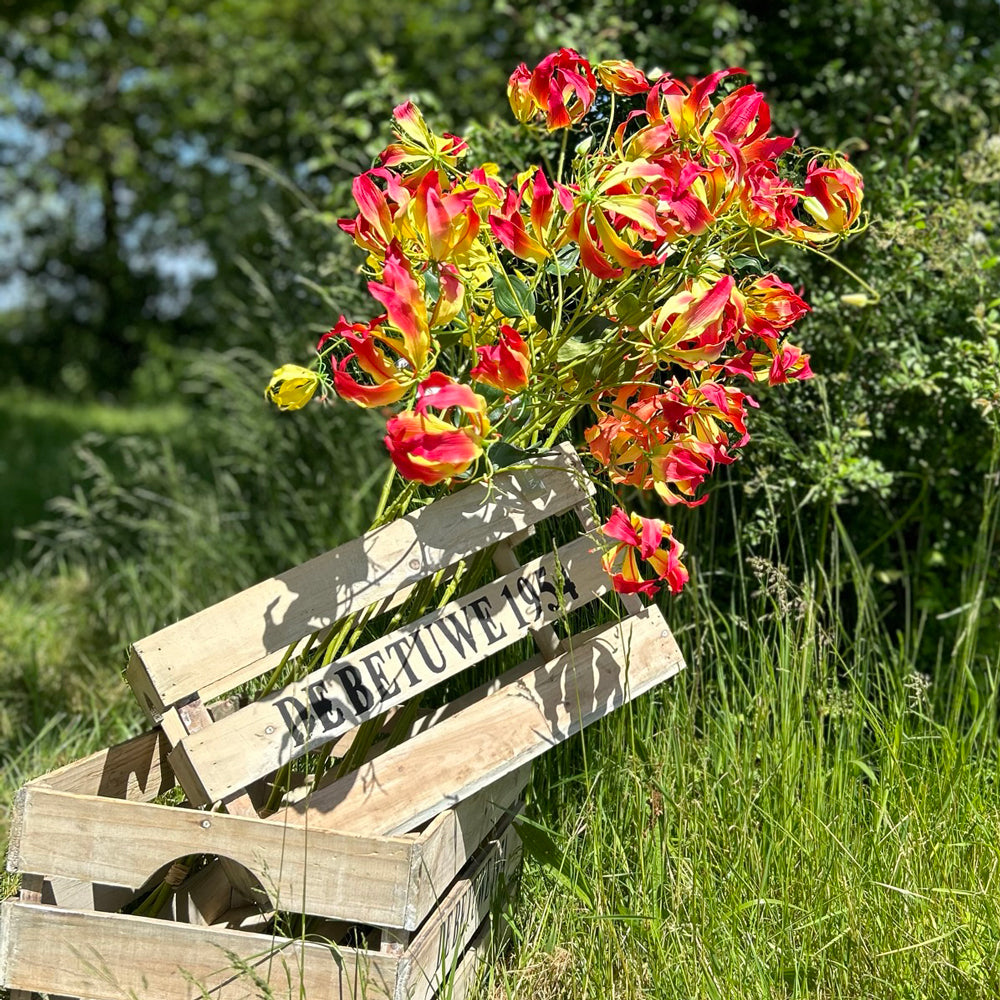 A group of faux lily gloriosa sprays in yellow, pink and orange, set against a meadow scene and bright blue sky.