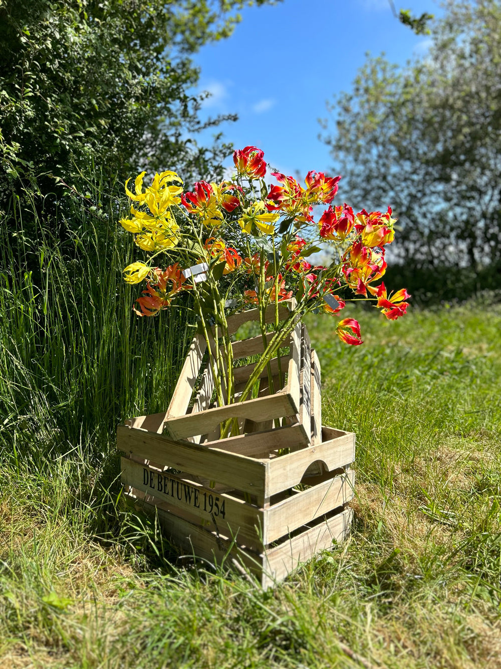 A group of faux lily gloriosa sprays in yellow, pink and orange, set against a meadow scene and bright blue sky.